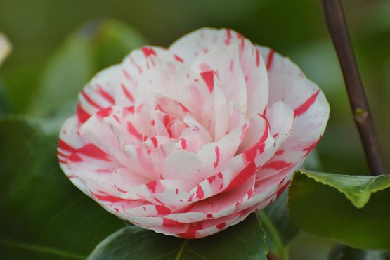 10th March (5)