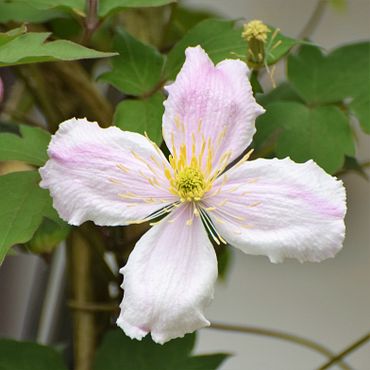 28th_May_(6)