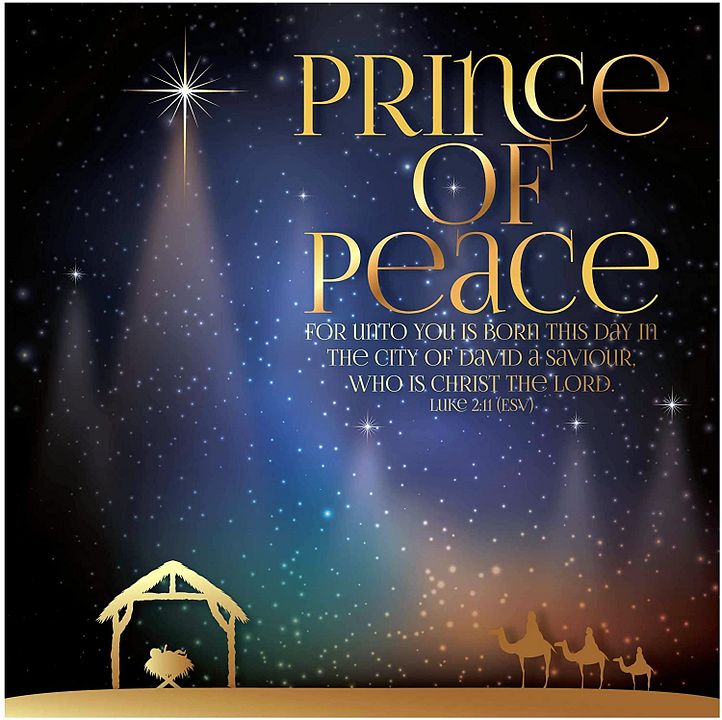 81bvGSnui0L._AC_SL1500_