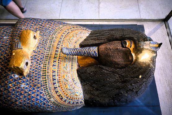 Akhenaten'c coffin lid (4)