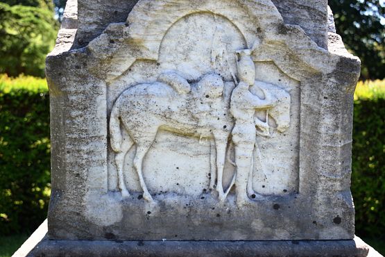 Briggs,_later_Sir_Brigs,_one_of_the_only_horses_to_survive_the_Charge_of_the_Light_Brigade_(4)