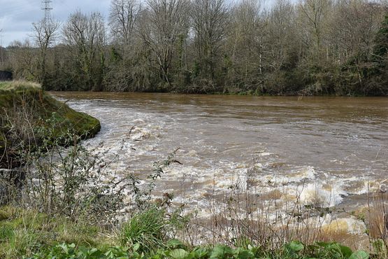 DSC_0203(2)