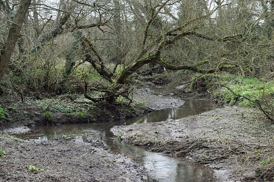 DSC_0206