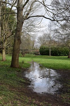 DSC_0207(1)