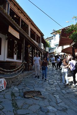 DSC_0296(1)