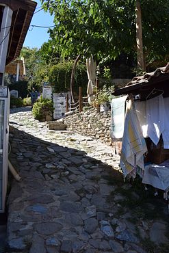 DSC_0297(2)