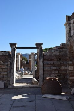 DSC_0341(3)