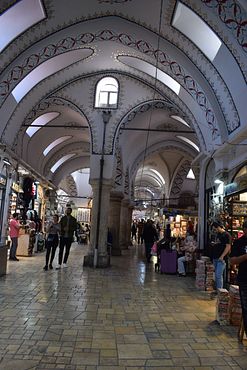 DSC_0468_dTEQyazZ5neEtu85AE3aed