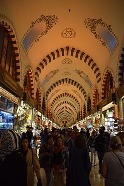 DSC_0487_q8xZhmHbbs8k87iqgfM3js