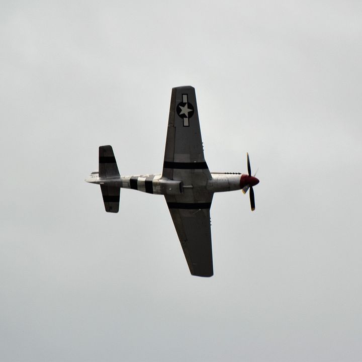 DSC_0592