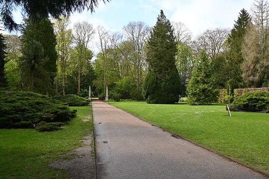DSC_5009