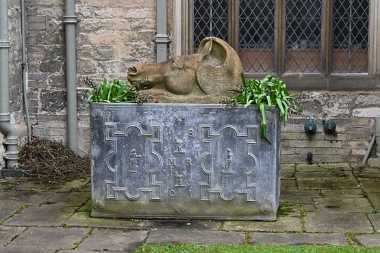 DSC_5101