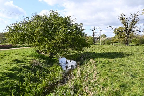 DSC_5441