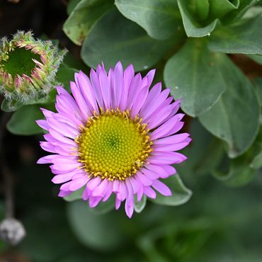 DSC_5460