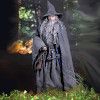 Gandalf_the_Grey