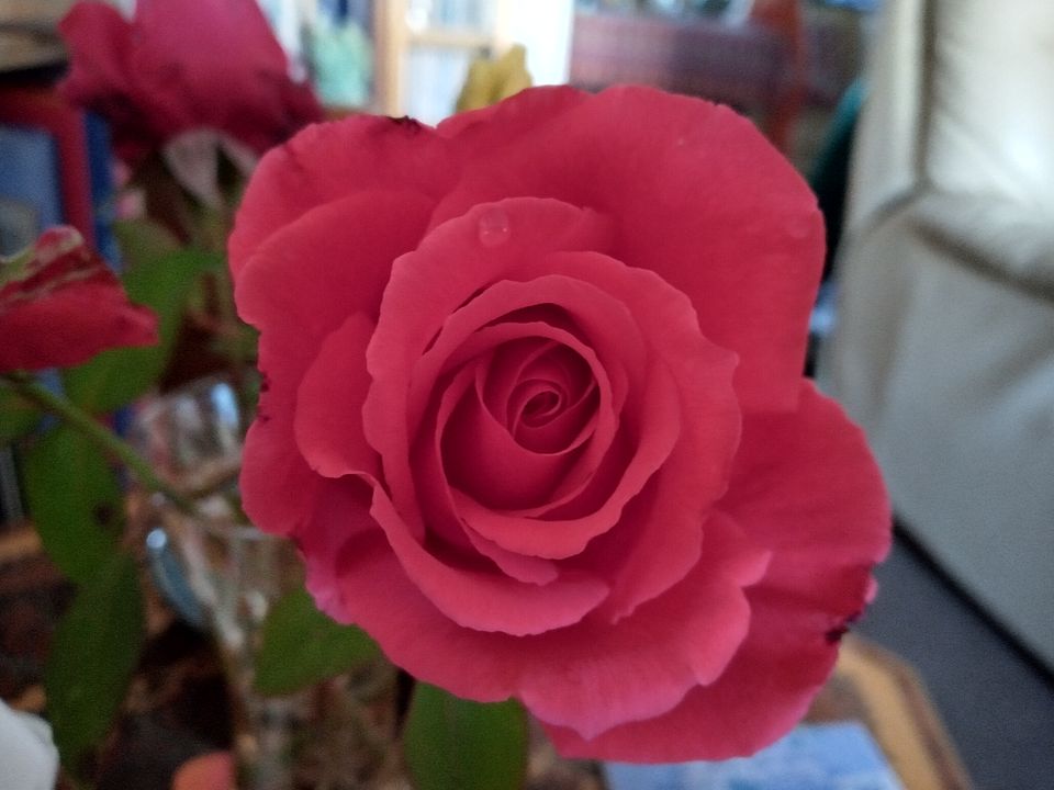 IMG_20211007_082405_HDR