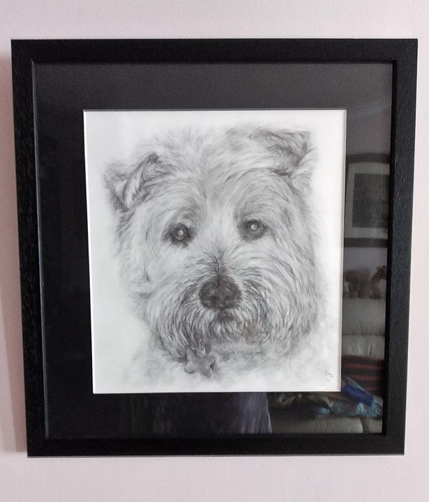 IMG_20221022_135930_HDR