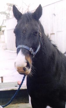 The_warning_triangle