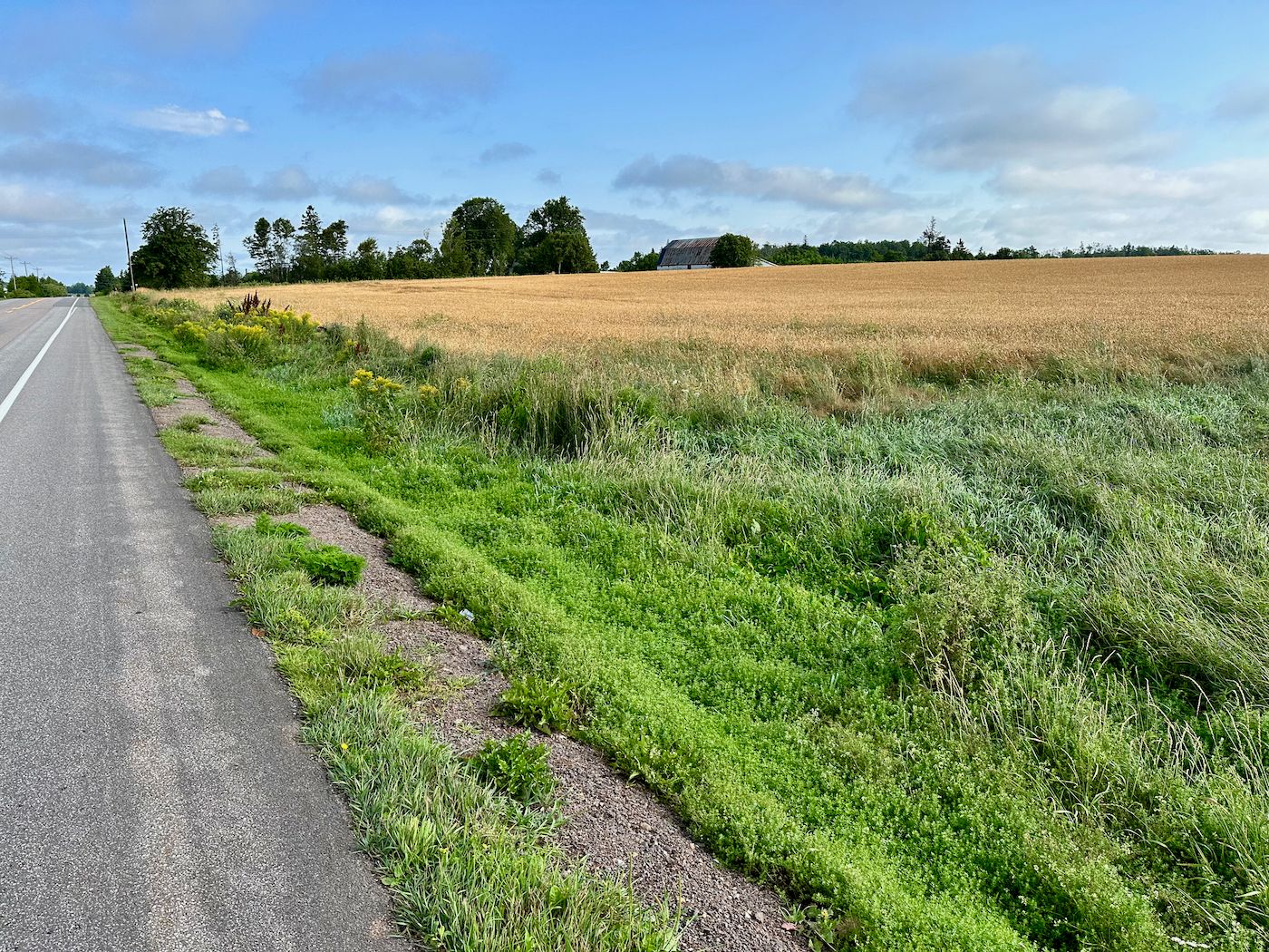 Wet Hot Canadian Maritimes | Page 3 | Adventure Rider