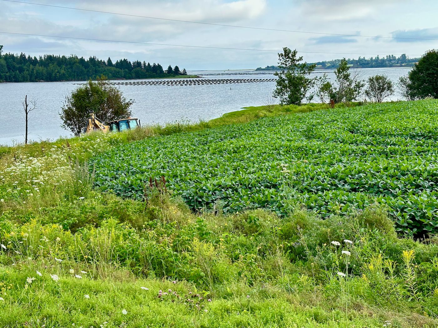 Wet Hot Canadian Maritimes | Page 3 | Adventure Rider