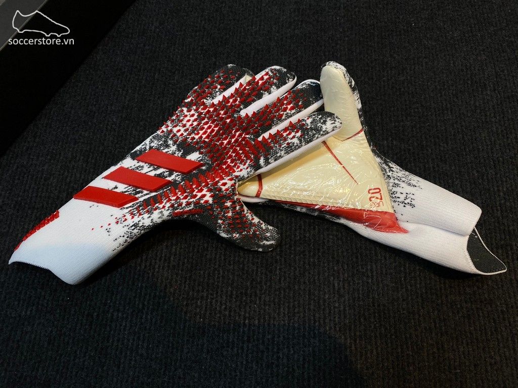 adidas predator pro 20 manuel neuer