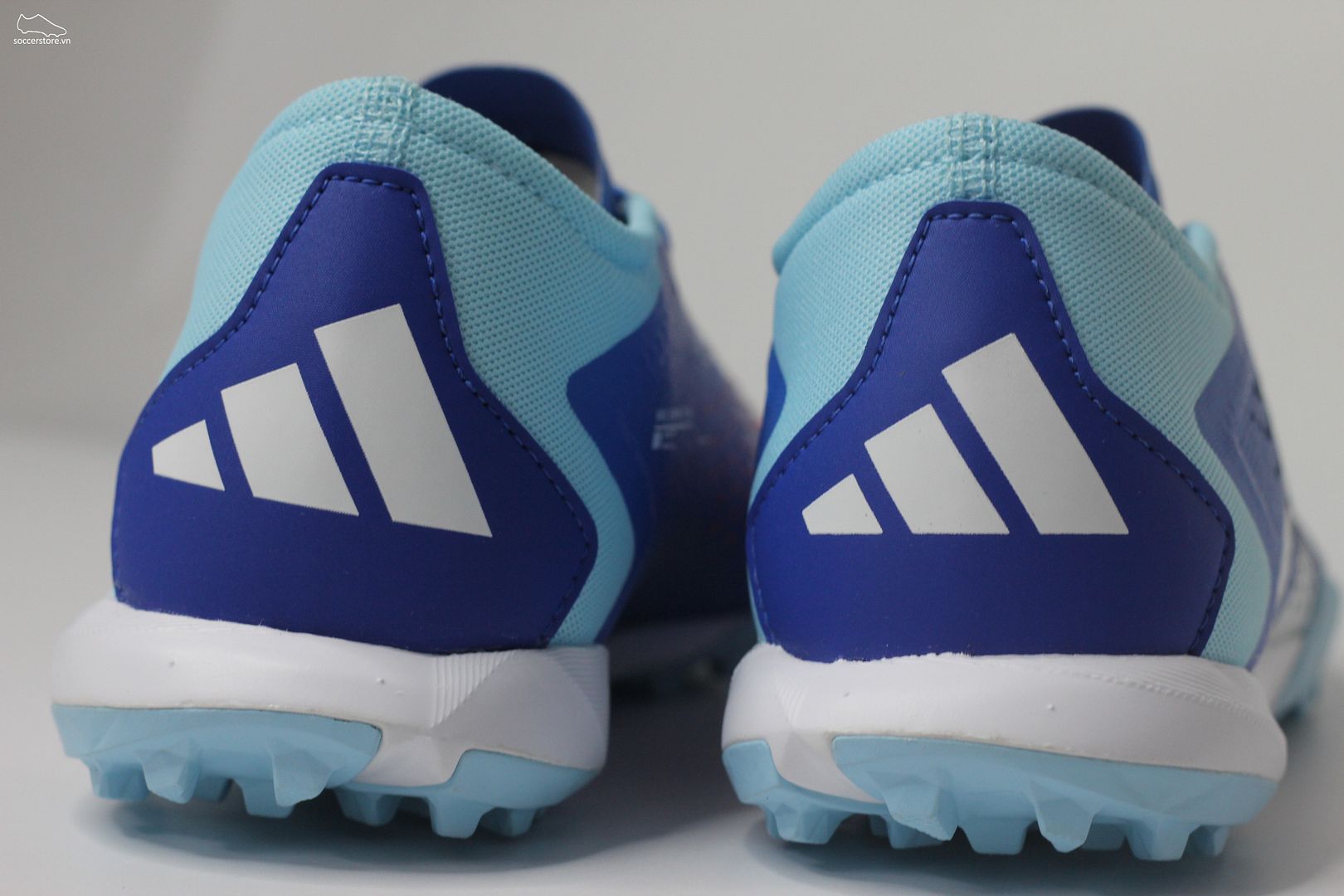 Adidas Predator Accuracy .3 L TF Marine Rush pack màu xanh trắng GZ0002