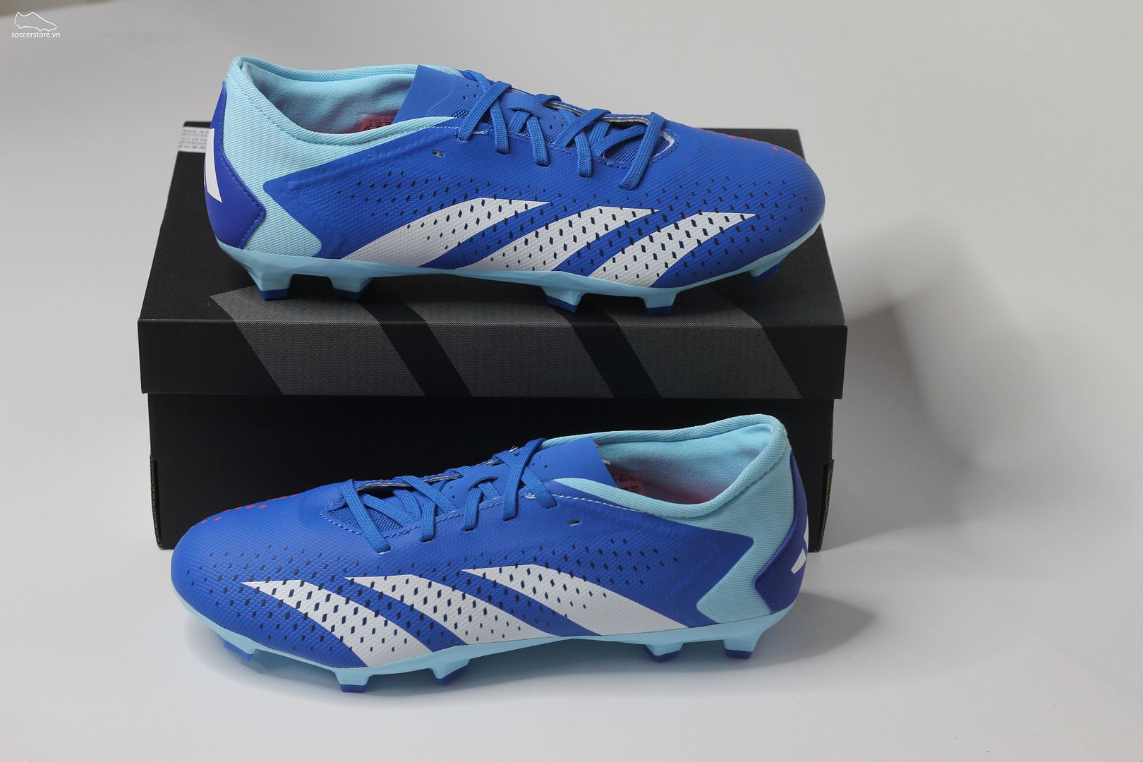 Adidas Predator Accuracy .3 L FG Marine Rush pack màu xanh trắng GZ0015