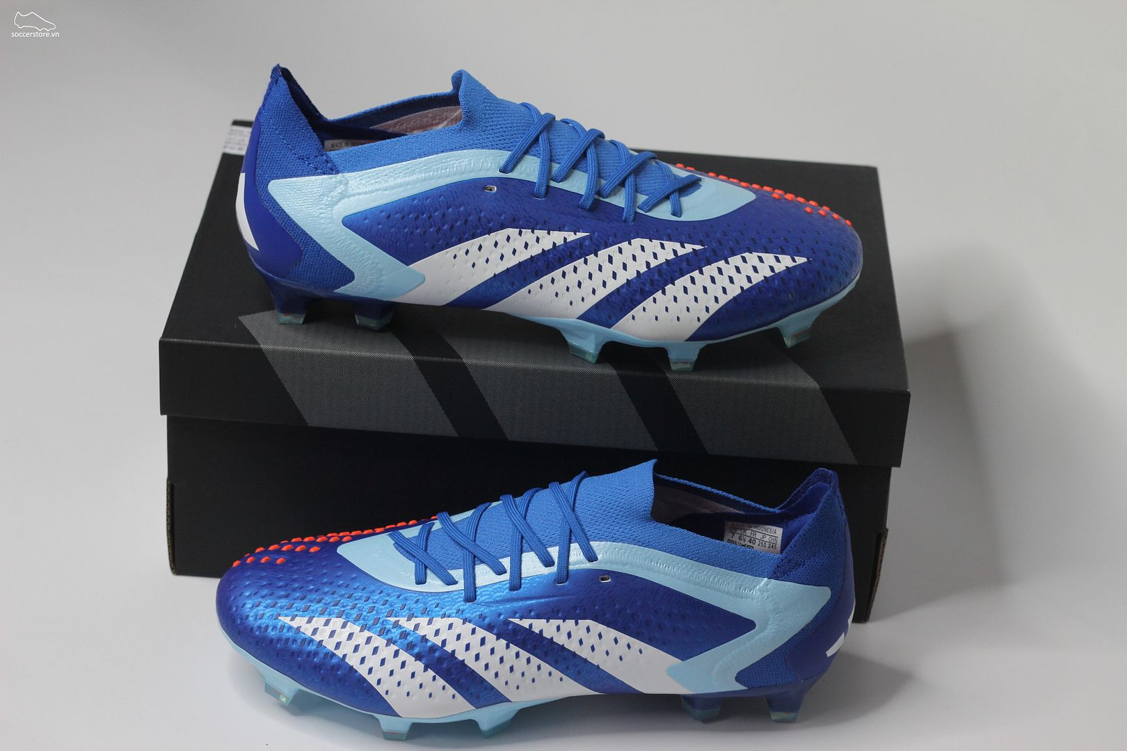 Adidas Predator Accuracy .1 FG Marine Rush pack màu xanh trắng GZ0031