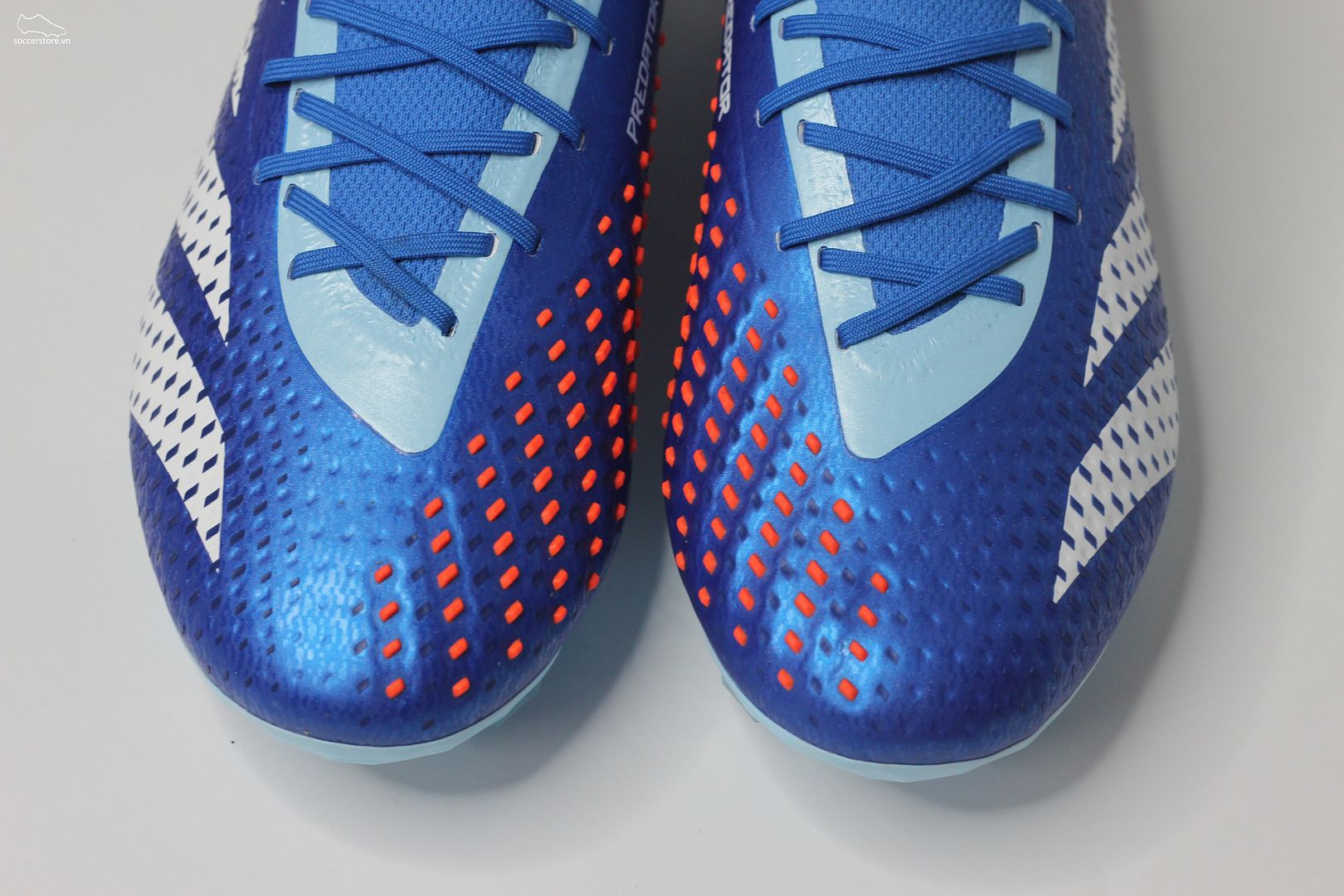 Adidas Predator Accuracy .1 FG Marine Rush pack màu xanh trắng GZ0031