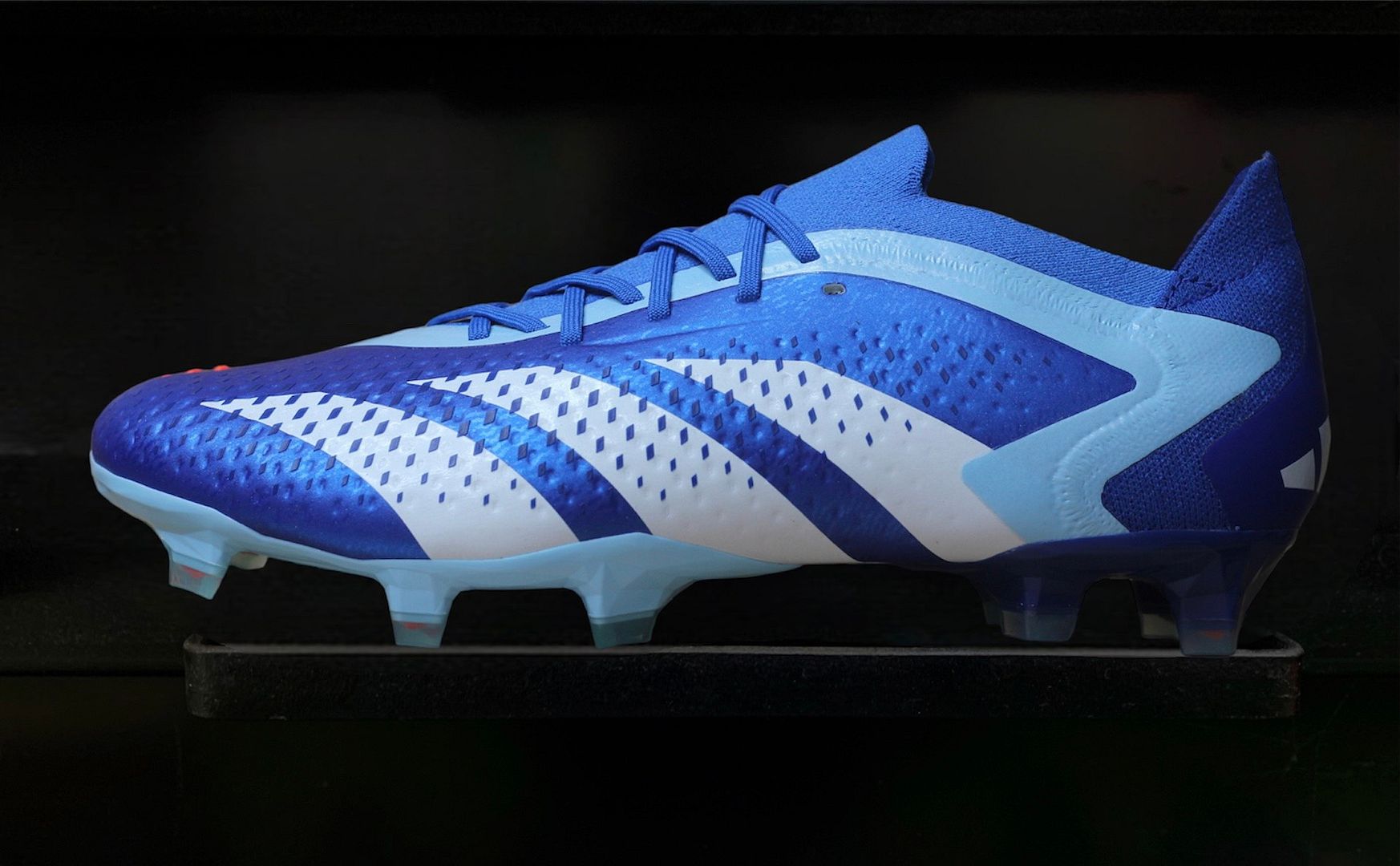 Adidas Predator Accuracy .1 FG Marine Rush pack màu xanh trắng GZ0031