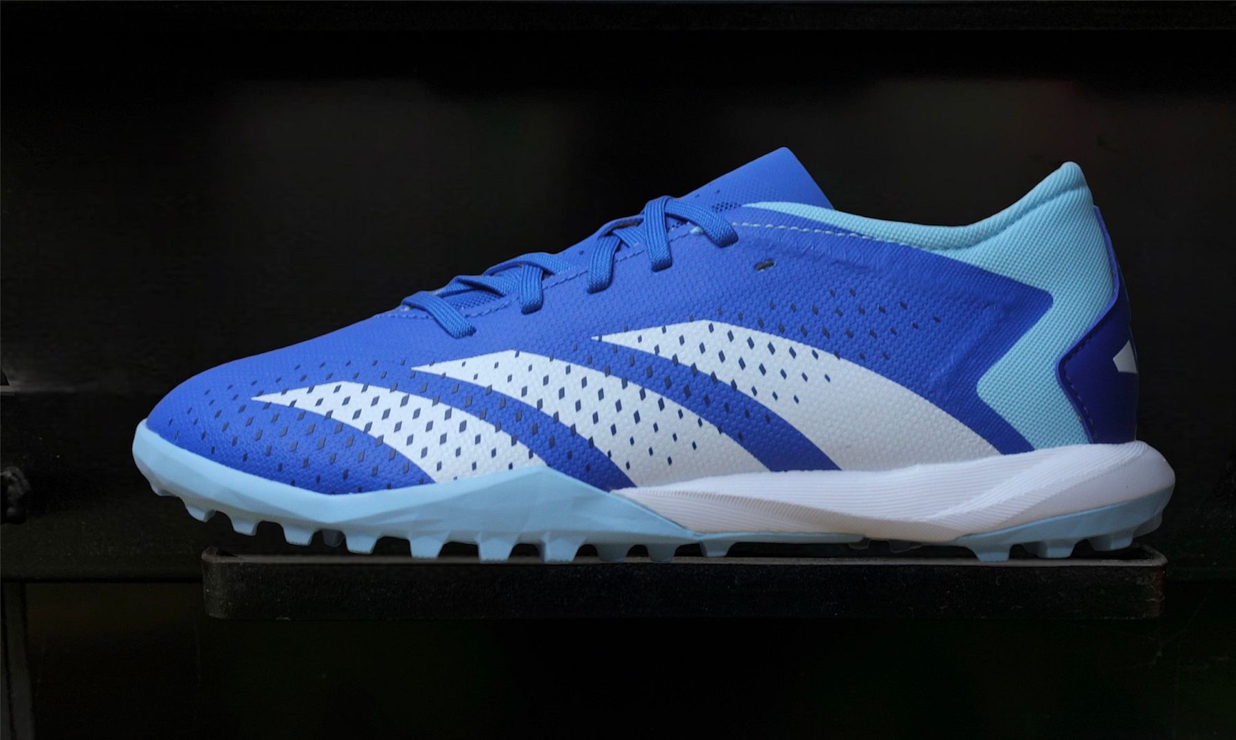 Adidas Predator Accuracy .3 L TF Marine Rush pack màu xanh trắng GZ0002