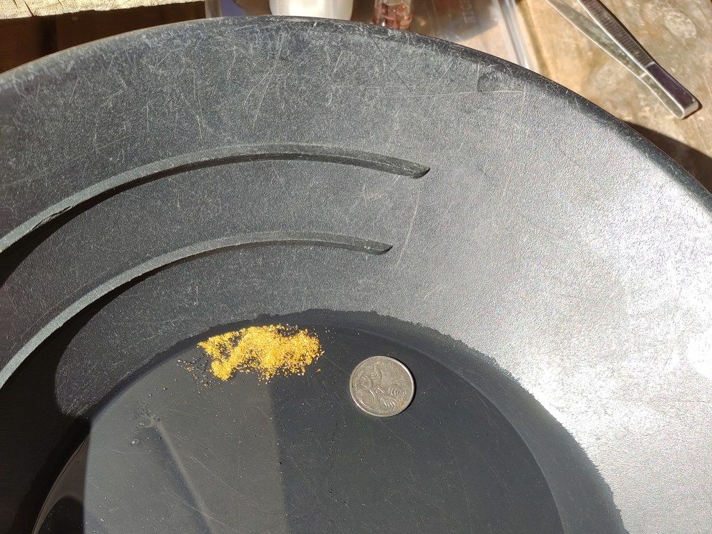1.6 grams of gold in a black panning dish.