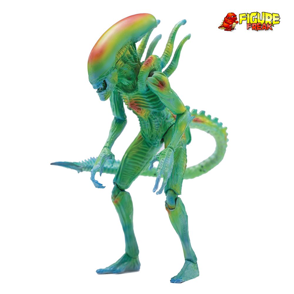 Hiya toys エイリアンセット 21.02.07 HIYA TOYS EXQUISITE MINI / ALIEN : ALIEN EGGS