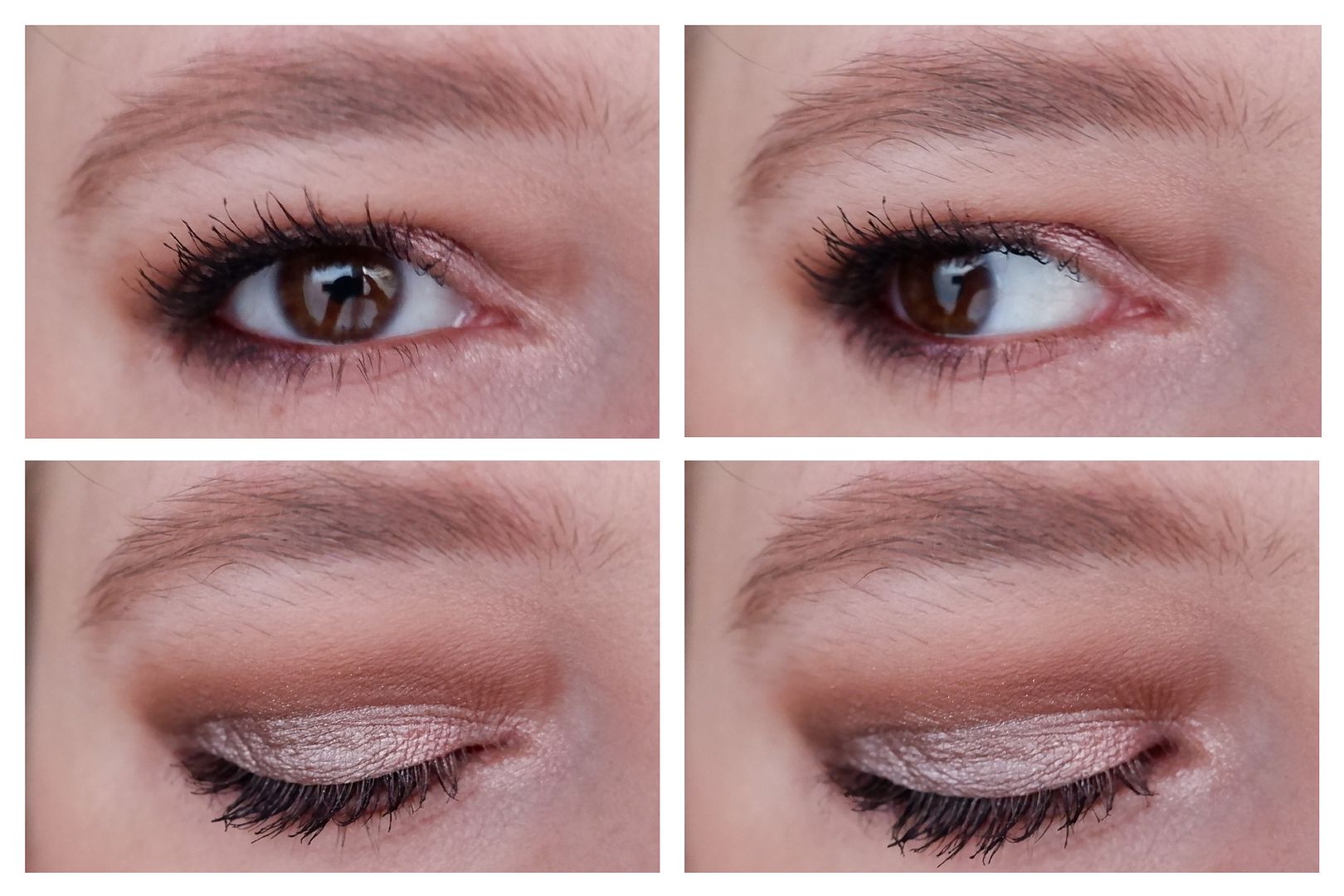 bh cosmetics love in london eyeshadow palette review swatch makeup look fair skin cool toned bh cosmetics love in london eyeshadow palette review swatch makeup look fair skin cool toned