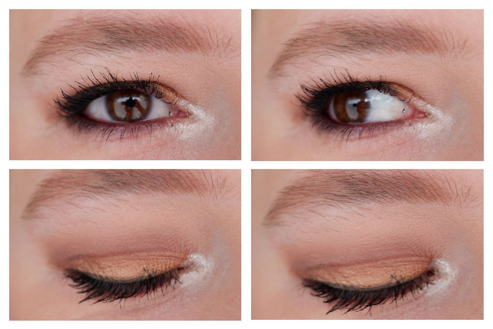 bh cosmetics love in london eyeshadow palette review swatch makeup look fair skin cool toned bh cosmetics love in london eyeshadow palette review swatch makeup look fair skin cool toned
