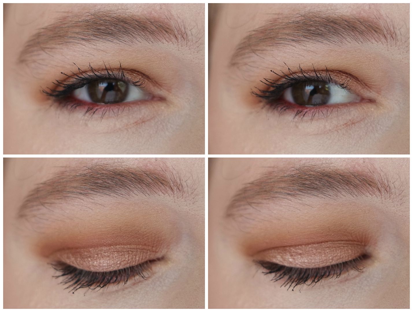 bh cosmetics eyeshadow palette review royal affair swatch makeup look 4 looks 1 palette bh cosmetics eyeshadow palette review royal affair swatch makeup look 4 looks 1 palette