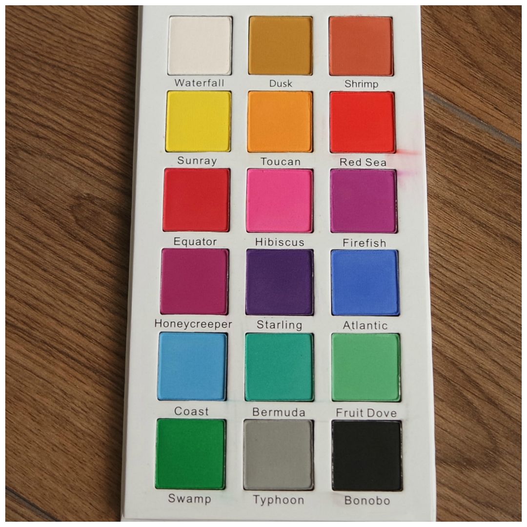 certifeye tropical wonders eyeshadow palette review swatch 3 looks 1 palette makeup look certifeye tropical wonders eyeshadow palette review swatch 3 looks 1 palette makeup look