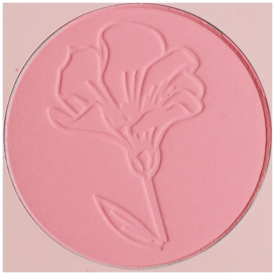 Colourpop Catch My Vibe blush review swatch Making Mauves makeup look application fair skin dry skin Colourpop Catch My Vibe blush review swatch Making Mauves makeup look application fair skin dry skin