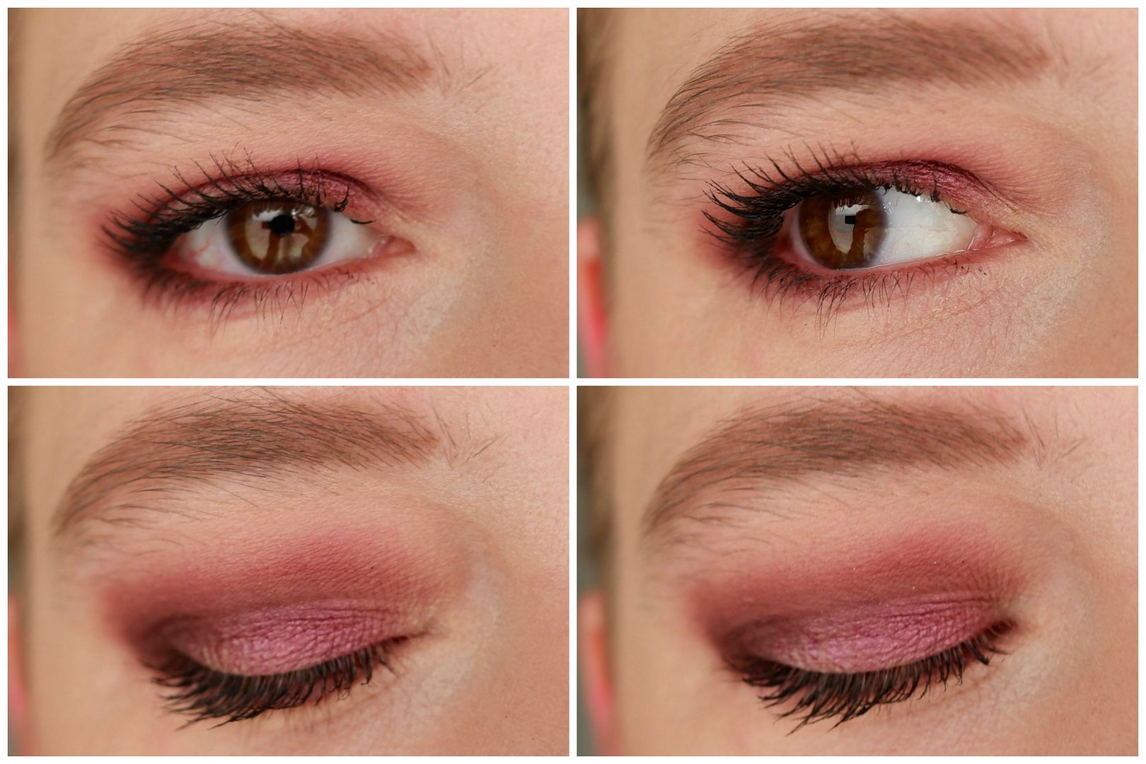 lethal cosmetics hyve palette single eyeshadow 4 looks 1 palette pale skin lethal cosmetics hyve palette single eyeshadow 4 looks 1 palette pale skin