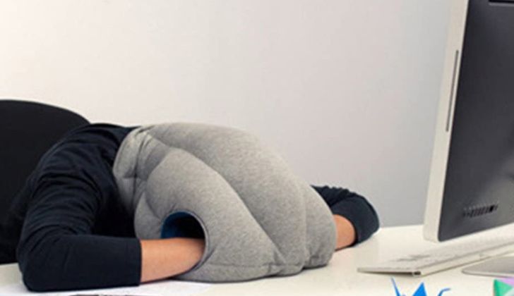 Almohada de avestruz Almohada de avestruz
