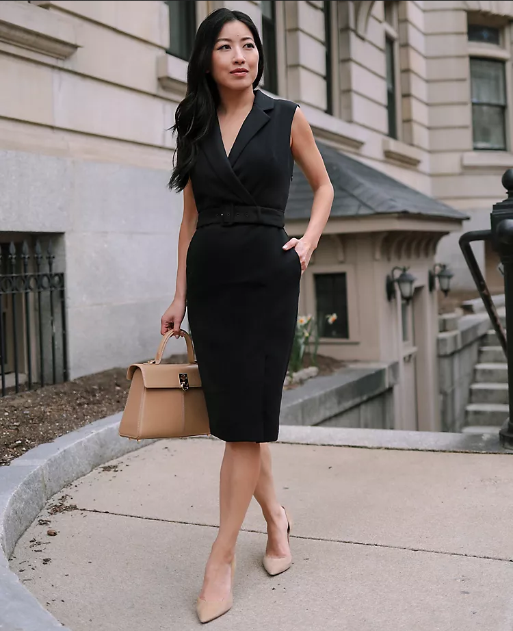 NEW ANN TAYLOR $149 BLACK BELTED LAPEL FLARE DRESS SZ XXL | eBay