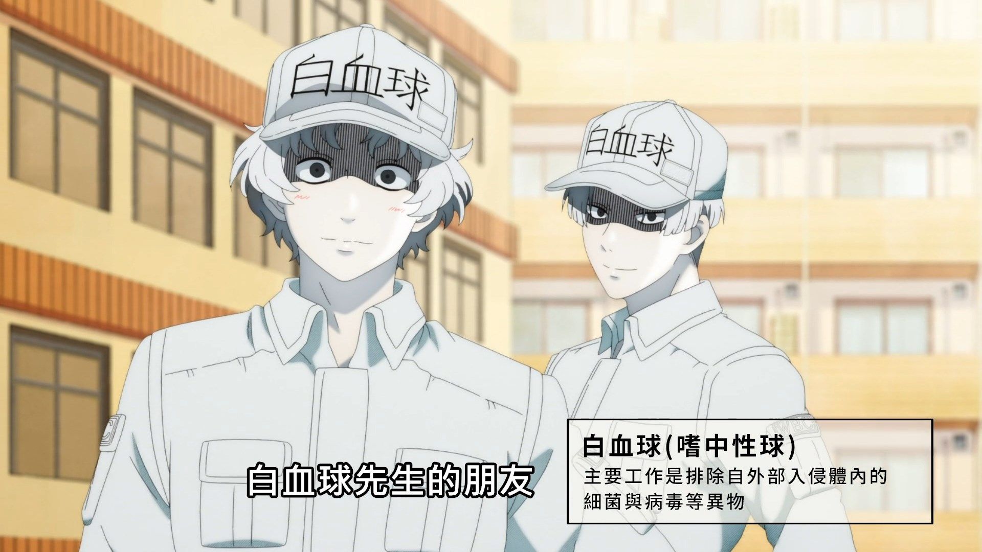 [Lilith-Raws]_Hataraku_Saibou_S02_-_01_[Baha][WEB-DL][1080p][AVC_AAC][CHT][MP4].mp4_snapshot_04.28