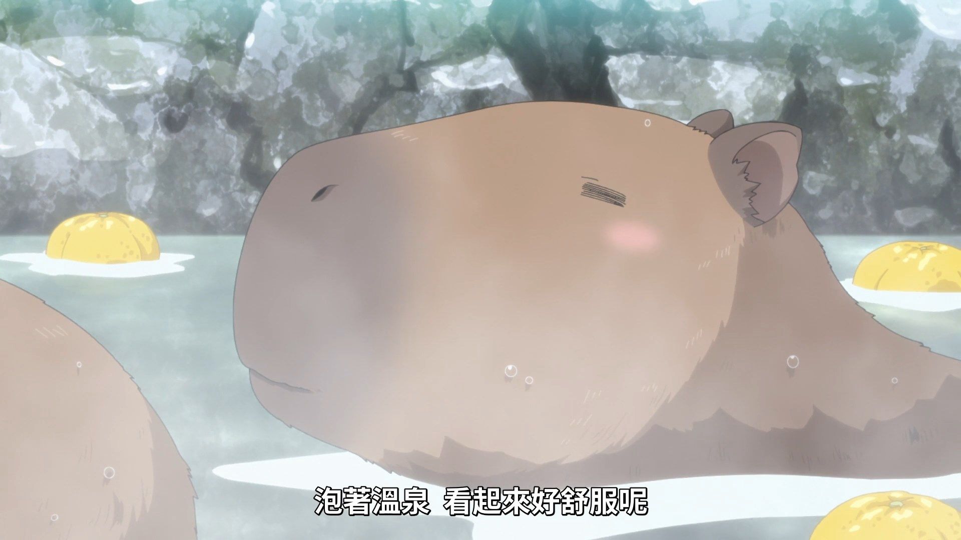 [NC-Raws]_-_13_[Baha][WEB-DL][1080p][AVC_AAC][CHT][MP4].mp4_snapshot_10.24