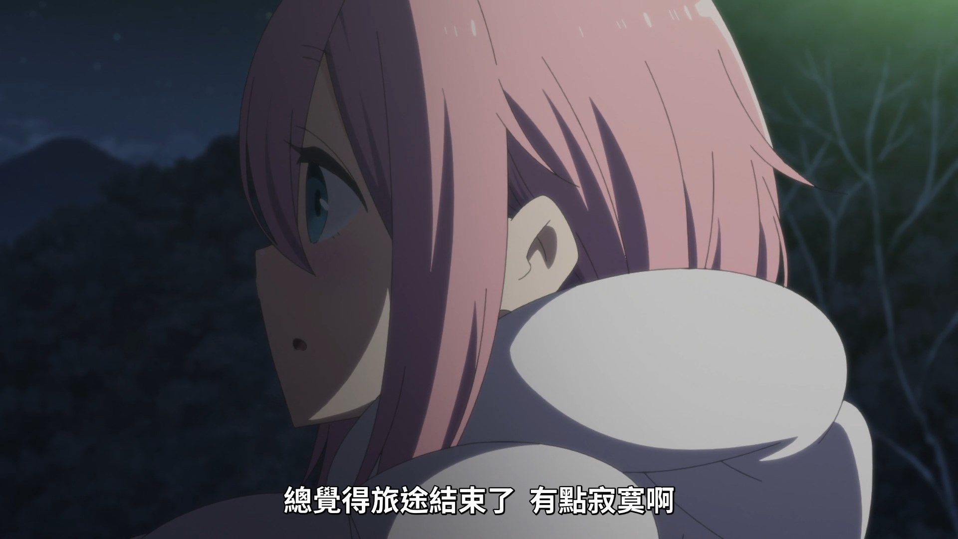 [NC-Raws]_-_13_[Baha][WEB-DL][1080p][AVC_AAC][CHT][MP4].mp4_snapshot_20.08
