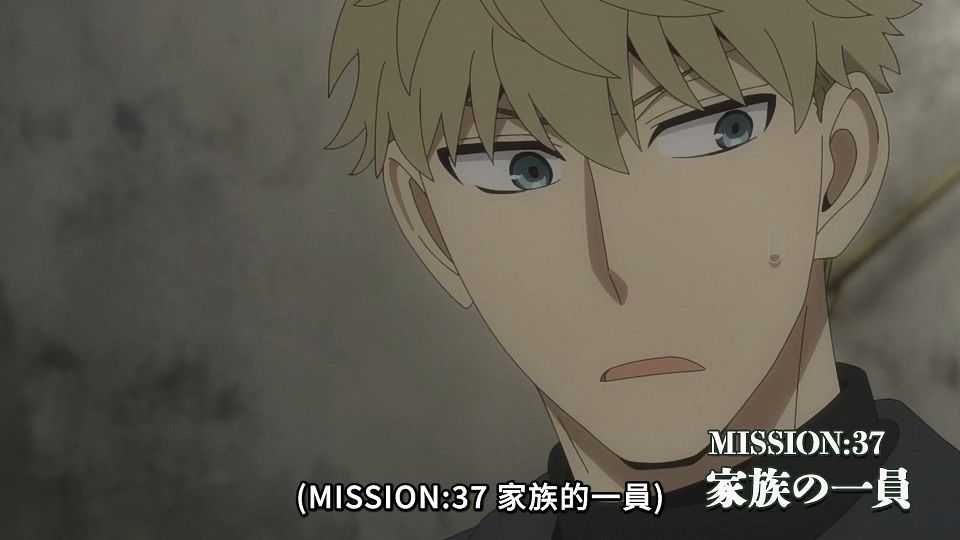 [ANi] SPY x FAMILY  Season 2 - 36 [1080P][Baha][WEB-DL][AAC AVC][CHT].mp4_snapshot_23.37.747