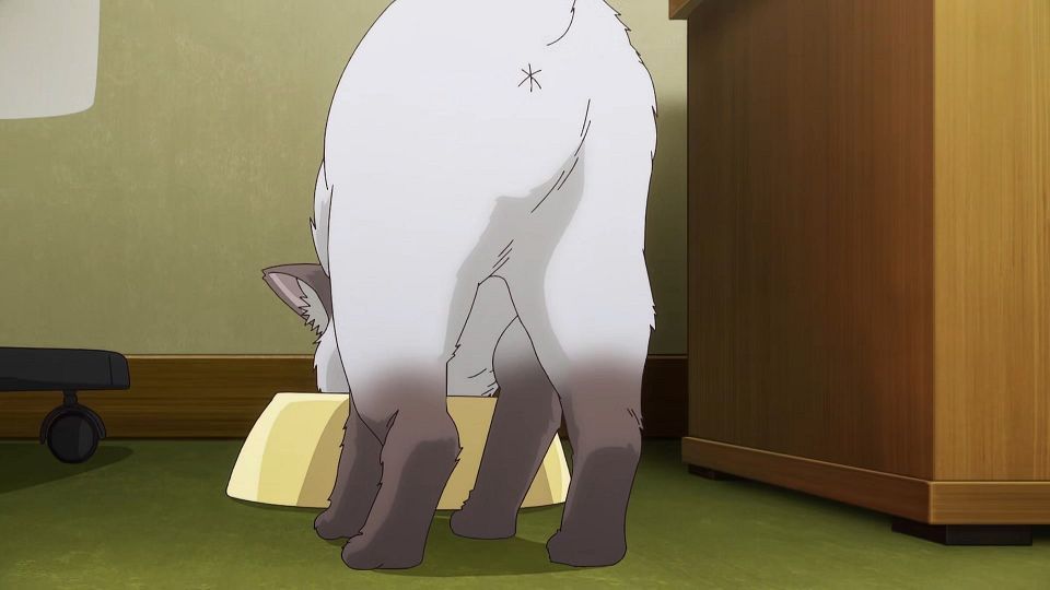 [KTXP][Sham_Marrage_Or_Not][01][GB_CN][HEVC_opus][1080p].mkv_snapshot_02.09.403