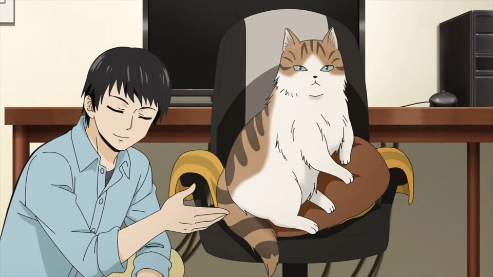 [KTXP][Too_Cute_Crisis][02][GB_CN][HEVC_opus][1080p].mkv_snapshot_14.40.487