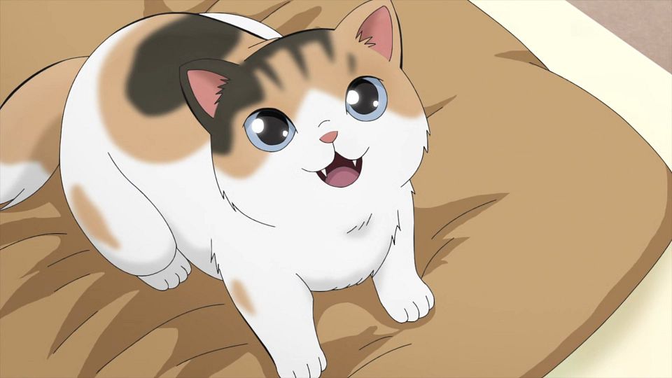 [KTXP][Too_Cute_Crisis][05][GB_CN][HEVC_opus][1080p].mkv_snapshot_06.44.651