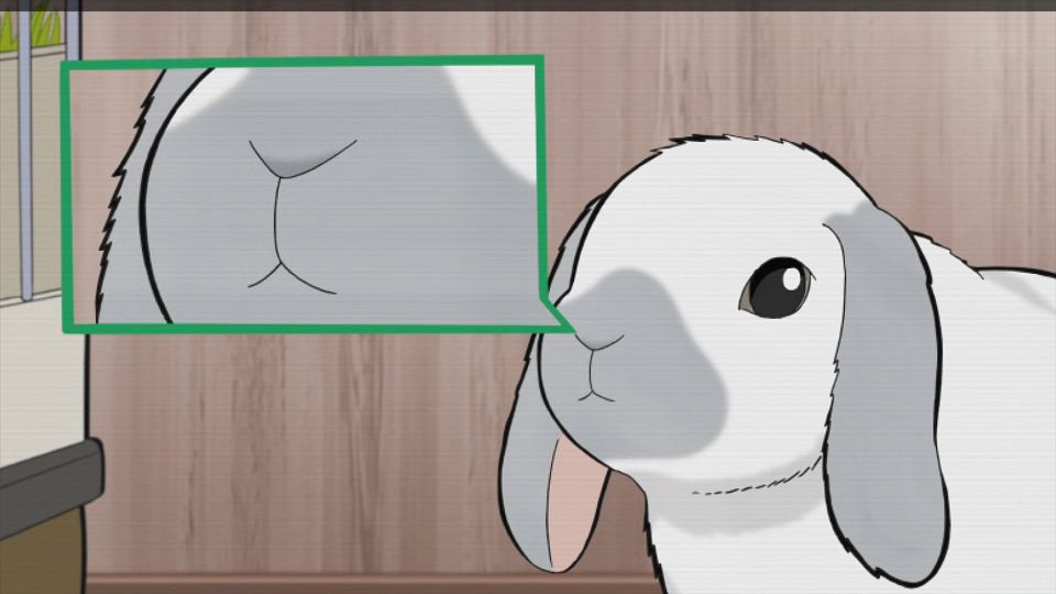 [KTXP][Too_Cute_Crisis][09][GB_CN][HEVC_opus][1080p].mkv_snapshot_20.55.357