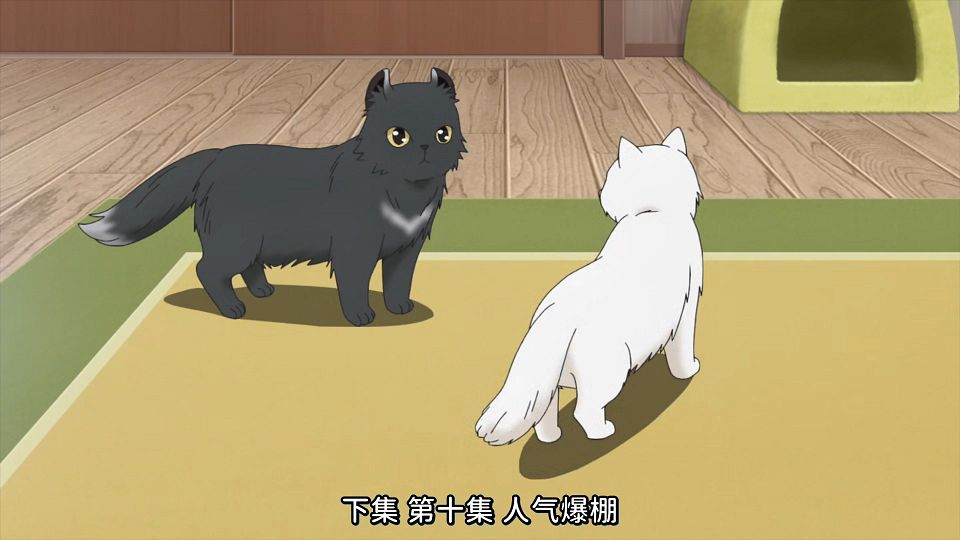 [KTXP][Too_Cute_Crisis][09][GB_CN][HEVC_opus][1080p].mkv_snapshot_23.36.373